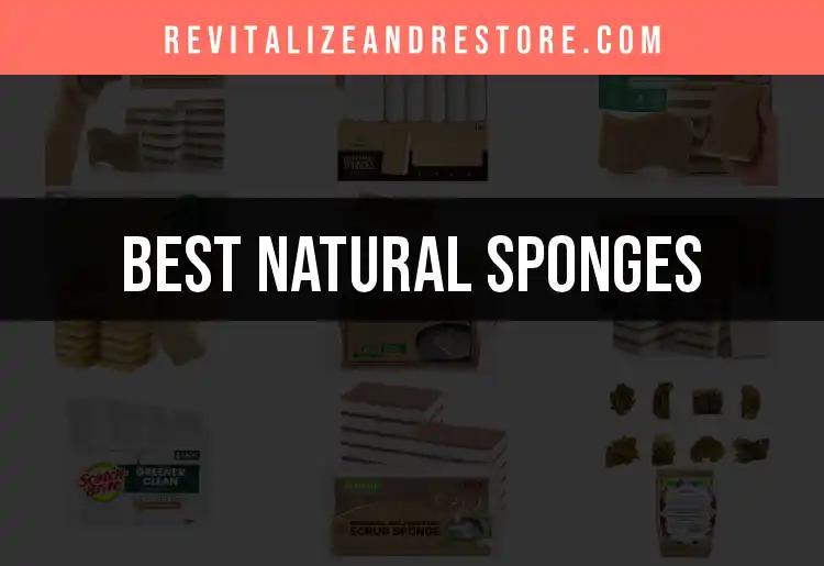 16 Natural Sponges for Flawless Skin Care